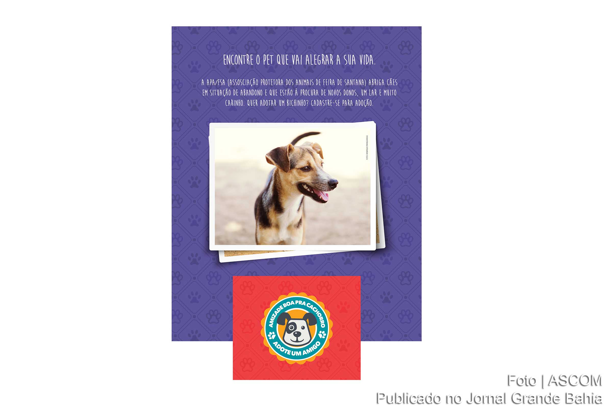 Ação “Amizade Boa pra Cachorro” é uma parceria do Boulevard com a Associação Protetora dos Animais de Feira de Santana.