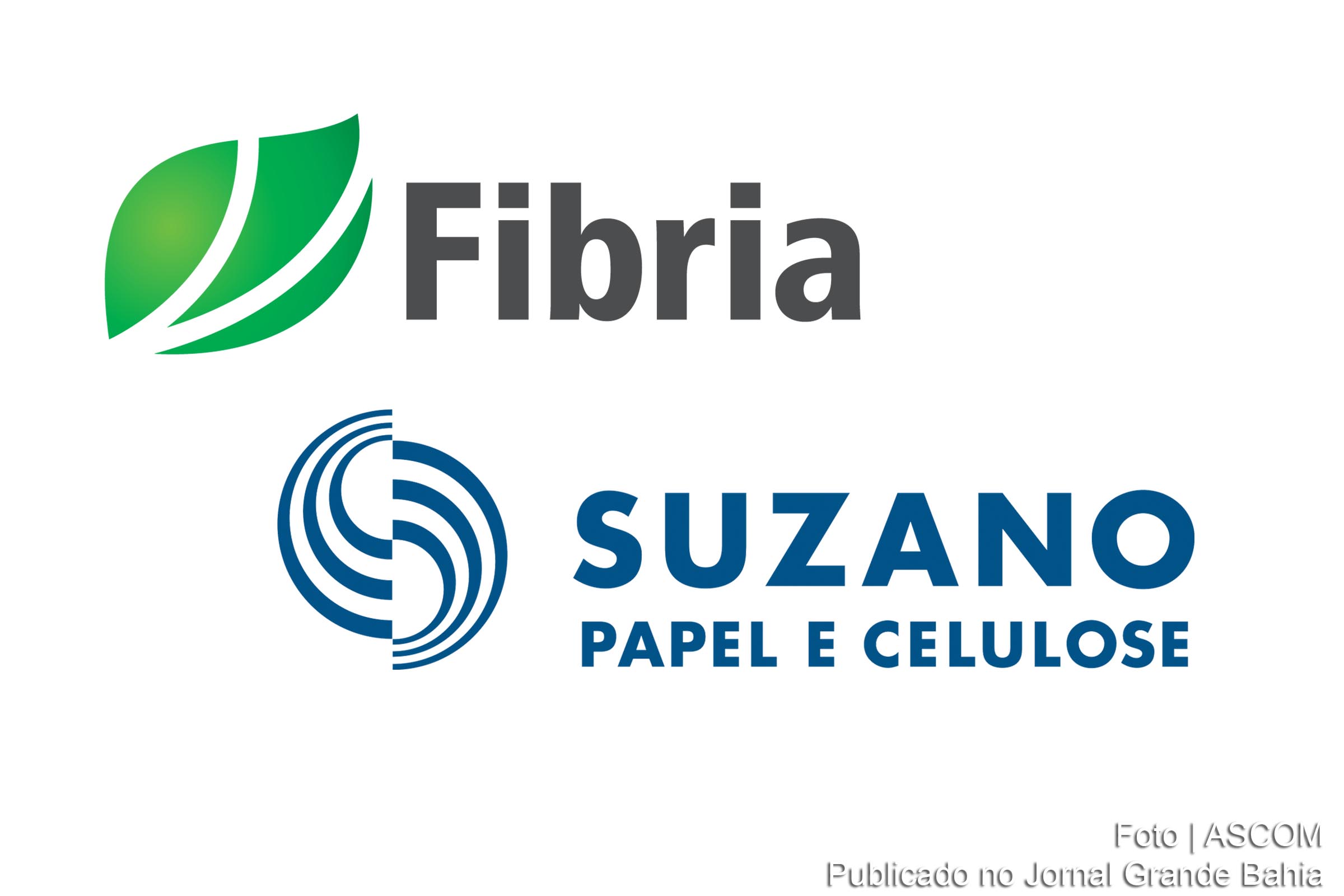 Fibria e Suzano unificam negócios e criam a maior companhia de celulose do mundo.