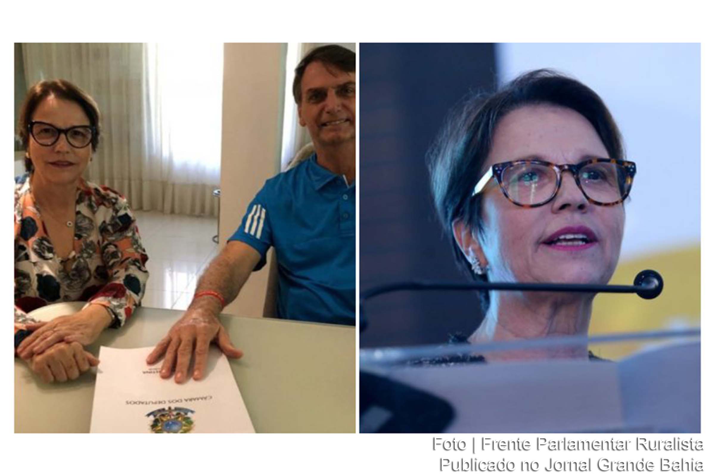 Tereza Cristina e Jair Bolsonaro.