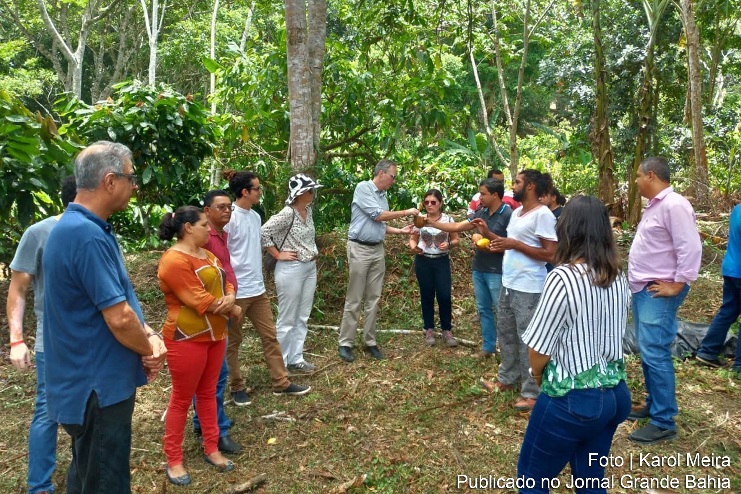 Projetos produtivos da cacauicultura baiana recebem visita de representantes do Banco Mundial.