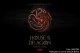 'House of the Dragon' abordará trajetória da Casa Targaryen.