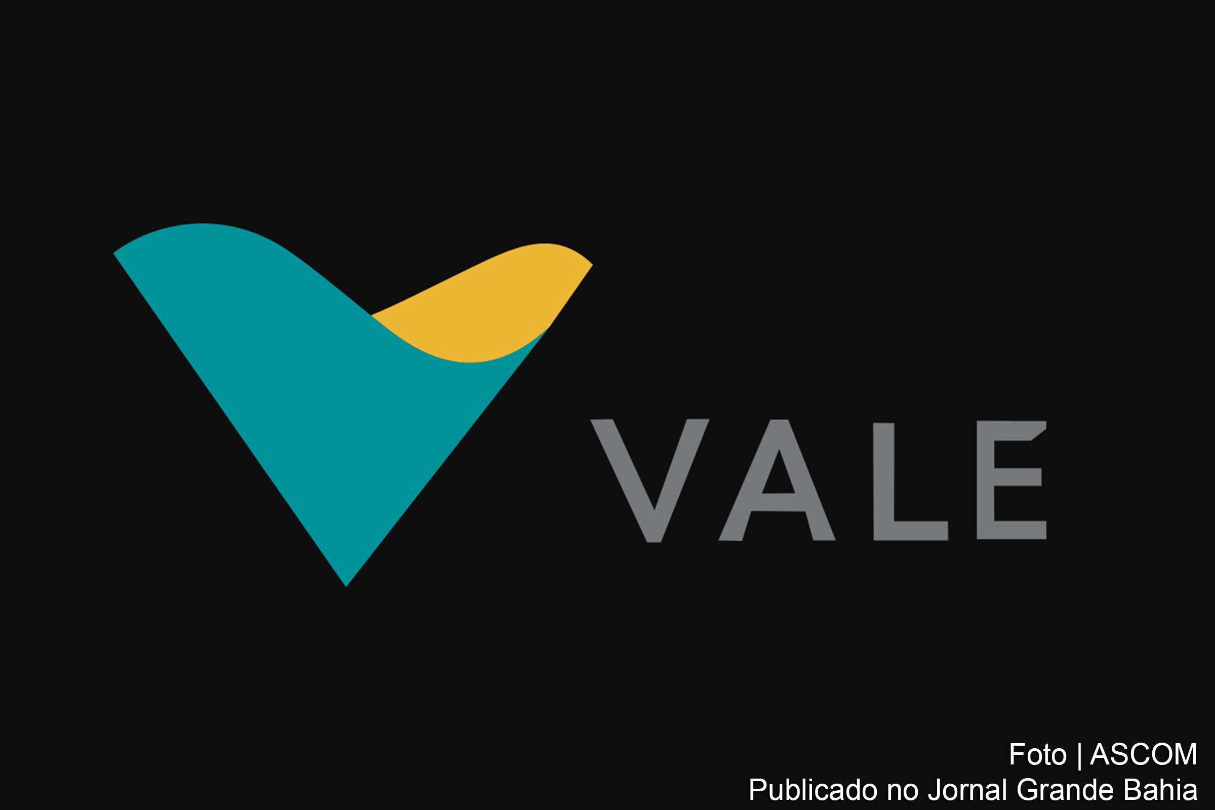Vale é uma mineradora multinacional brasileira, avaliada como uma das maiores empresas  do setor no mundo e uma das maiores operadoras de logística do país. 