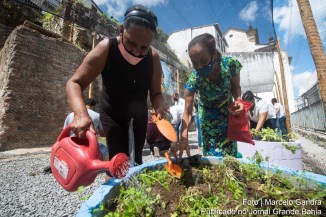 Com o objetivo de fortalecer a alimentação das famílias da região do Pilar, a nova horta foi um pedido da comunidade.