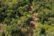 Brasil possui sete florestas com contratos de concessão florestal.