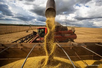 Segundo a CONAB, condições climáticas desfavoráveis no Sul do país prejudicaram as estimativas de produção da primeira safra de milho e da soja.