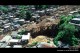 Imagem aérea de deslizamento de encosta em Petrópolis.