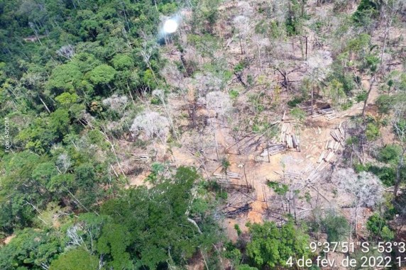 Segundo a PF, a investigação teve início em fevereiro de 2022, após denúncia recebida pela Funai em Cuiabá de extração ilegal de madeira na terra indígena.