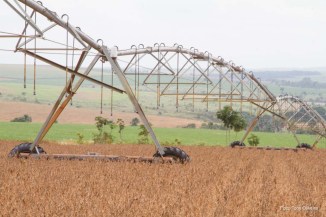 Fertilizantes, especialmente nitrogênio, fósforo e potássio, são largamente usados pelo setor agrícola no país.